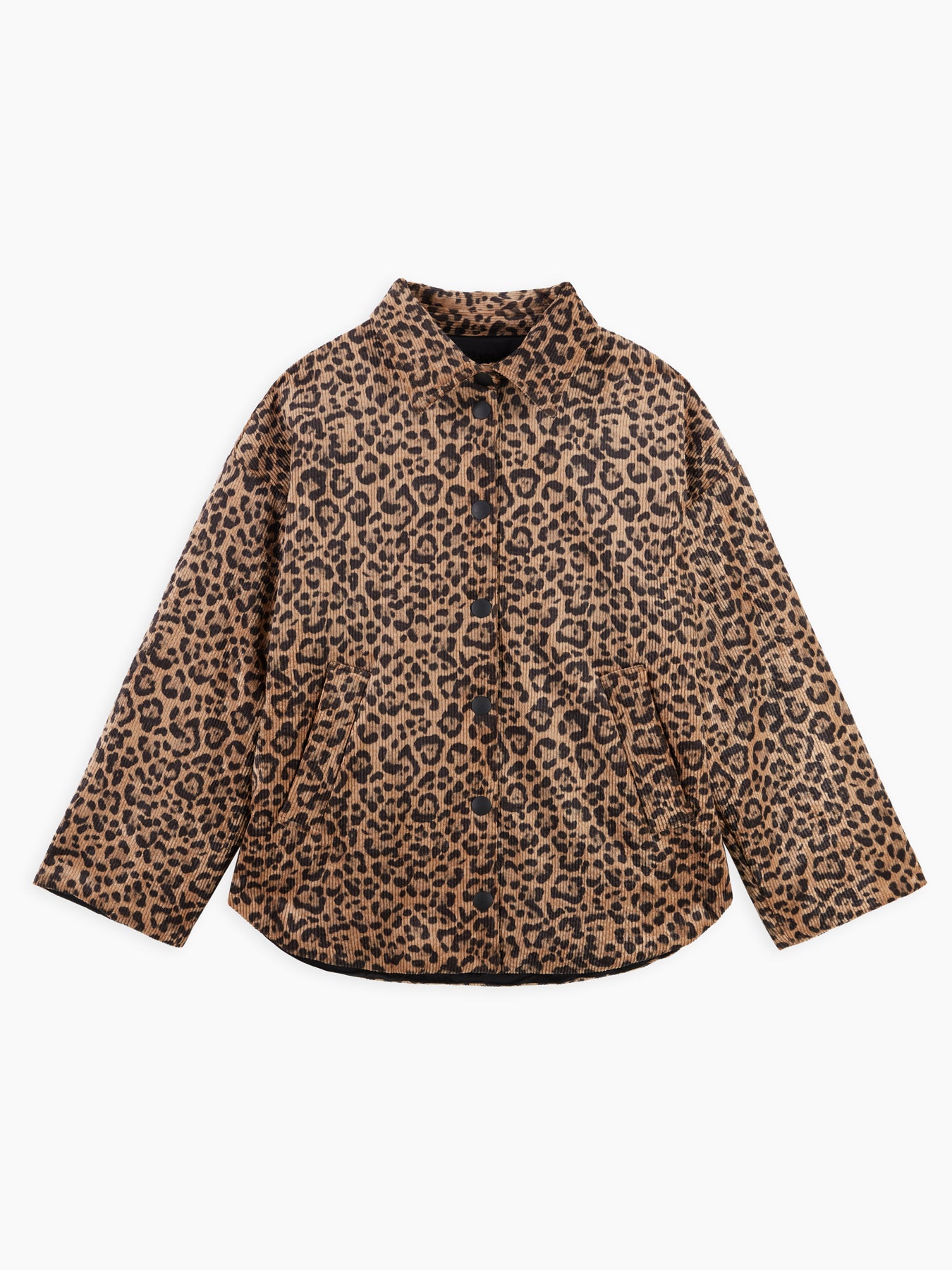 Springfield Giubbotto Deserto donna 8pm - 2